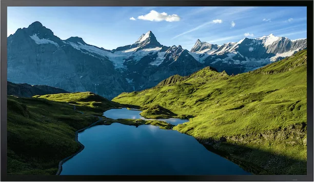 Samsung OHA-S 55 pollici